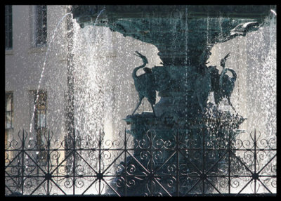 Downtown Fountain Inside Icky Traffic Circle