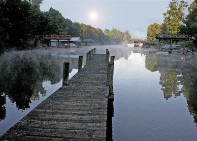 Early Morning Fog