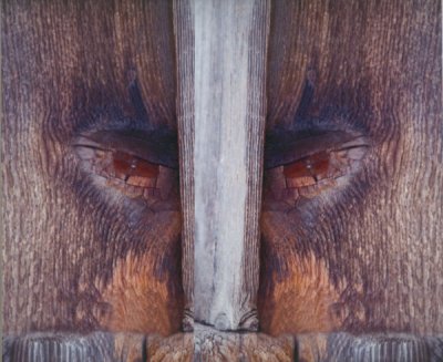 Wood Knot Man