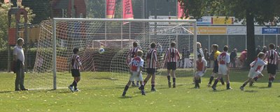 DSC_6272-p-p.jpg