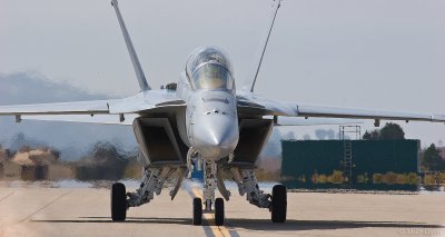 F/A 18 Hornet