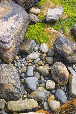 Tide Pool at Natural Seawall