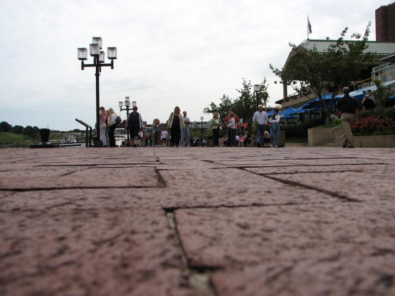 ants eye view.jpg