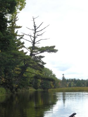 PA050018.JPG