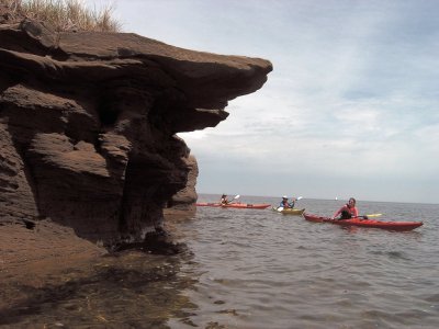 Shediac Island