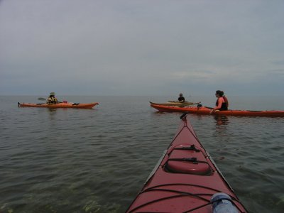 Shediac Island