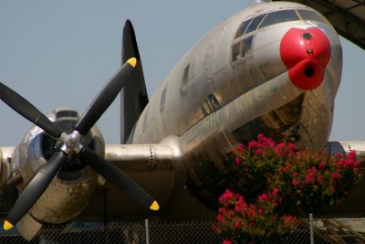 Blackbird Airpark