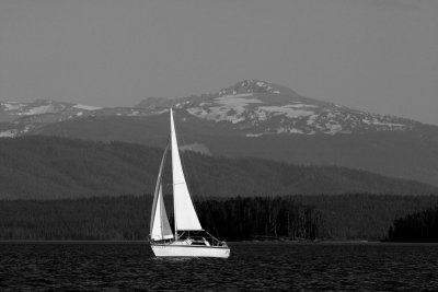 Sailboat on Lake Jackson with Signal Mountain Black and White.jpg