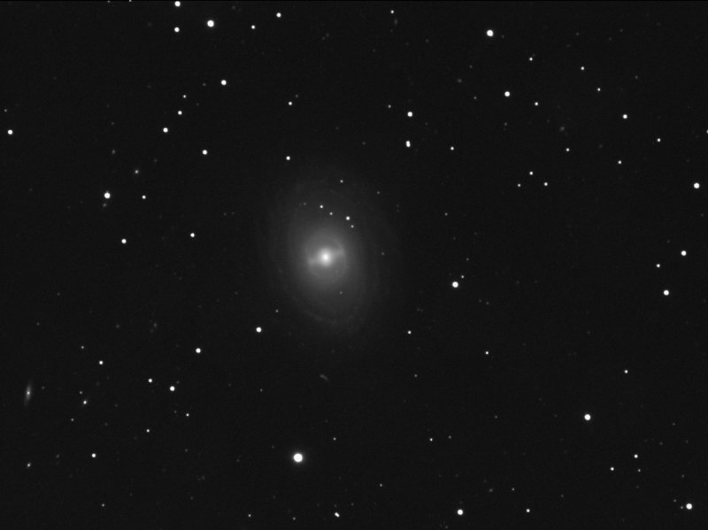 NGC 1398 in Fornax