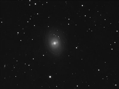 NGC 1398 in Fornax