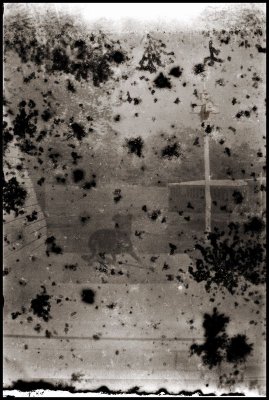 Image from Verichrome Pan roll found in Brownie camera