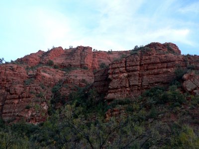 P1020529.JPG