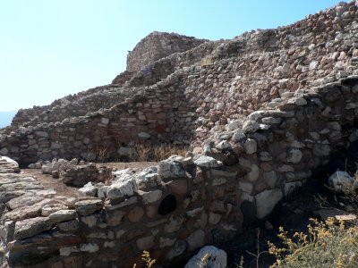 P1020725.JPG