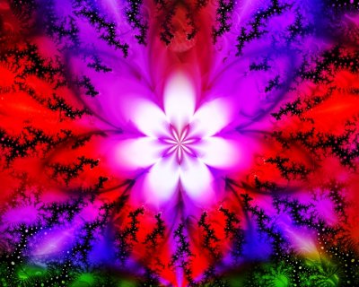 colorscape floral