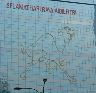 IMGP1159.jpg