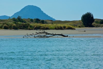 White Island