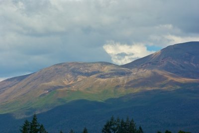 IMGP8240.jpg