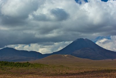 IMGP8243.jpg