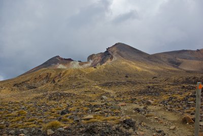 IMGP8440.jpg