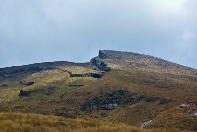 IMGP8487.jpg