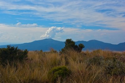 Tongario National Park