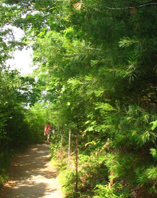 Walking at Walden Pond