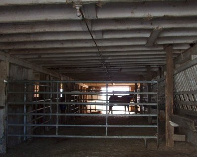 Alone in the Barn
