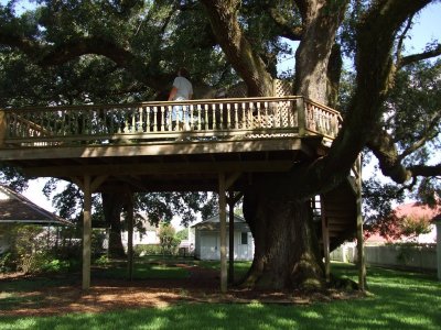 Tom Checks Out the Treehouse