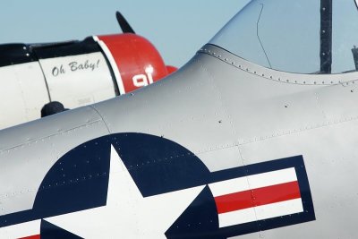 WARBIRD DISPLAY