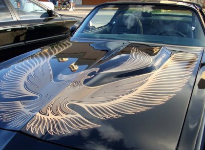 Firebird Reflection