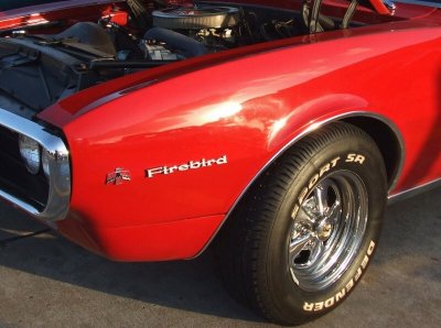 Red Firebird