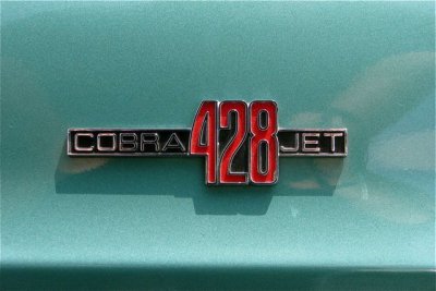 Shelby Cobra GT 500 428