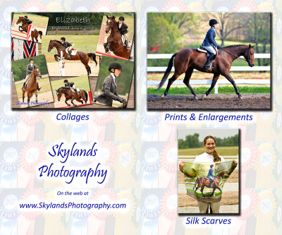 PhotoSign-V4B.jpg