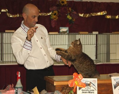 tugger_Img_2836.jpg