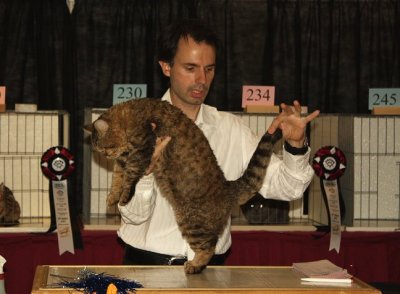 tugger_Img_2858.jpg
