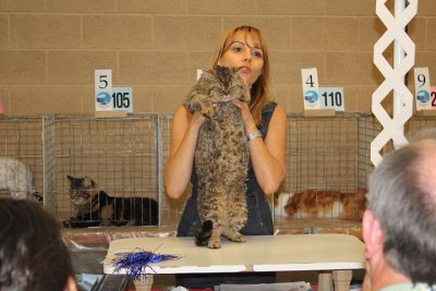 tugger_Img_0750.jpg