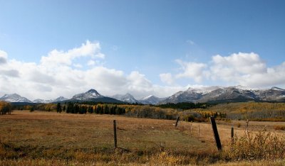 IMG_0945