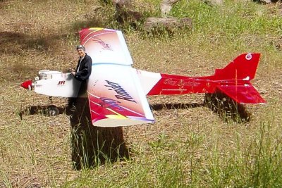 Model airplane pilot