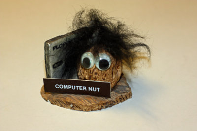 Computer Nut