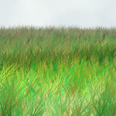 grass.jpg