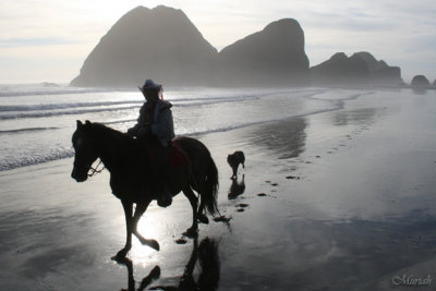 Ride the Sunset