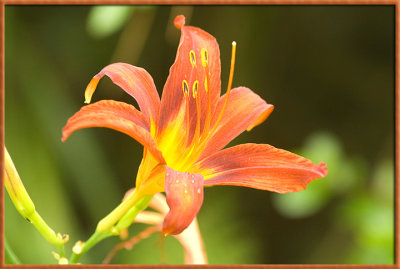 2008078557 copy.jpg