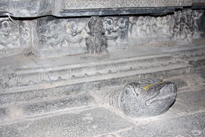 The turtle bears the weight of the world, Varadaraja Perumal Temple, Kanchipuram, India
