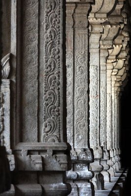 Row of Pillars -Ekambareswara Temple, Kanchipuram, India