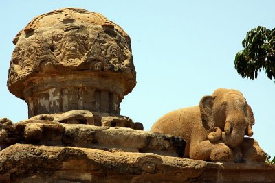 Elephant sculpture - Kailasnatha temple, Kanchipuram, India
