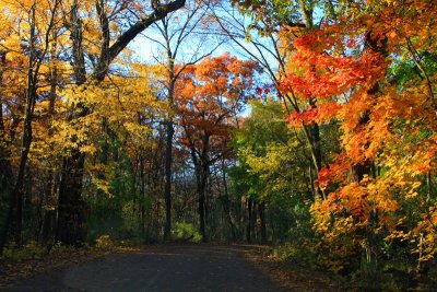 Deer Grove Forest Preserve, Palatine, IL - Fall colors - An autumn drive