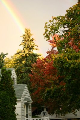 Pennsylvania - Now I know how the trees get colored, Fall Colors