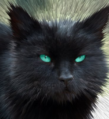 FreakyCat01.jpg