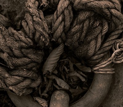 duotoned ropes copy.jpg