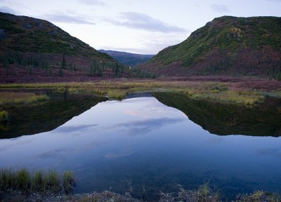 Denali National Park